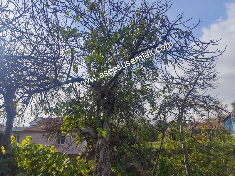 SARIKÖYDE 427 m² SATILIK MÜSTAKİL EV YAPIMINA UYGUN İMARLI ARSA