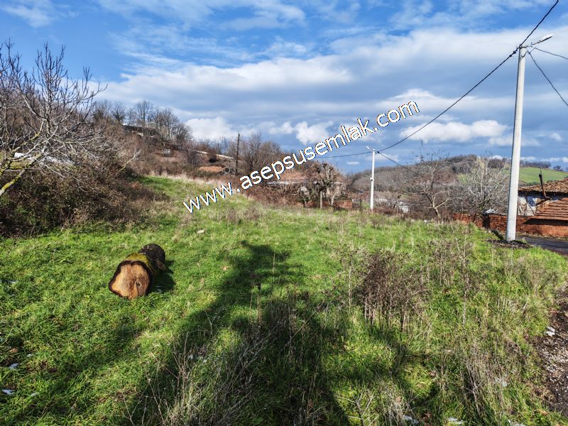 ACİL 1.004 m2 ÇİFTLİKALAN, DOĞA İÇİNDE, YOLA CEPHELİ İMARLI ARSA