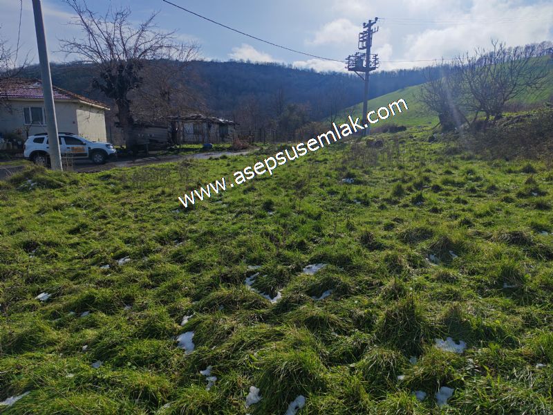 ACİL 1.004 m2 ÇİFTLİKALAN, DOĞA İÇİNDE, YOLA CEPHELİ İMARLI ARSA