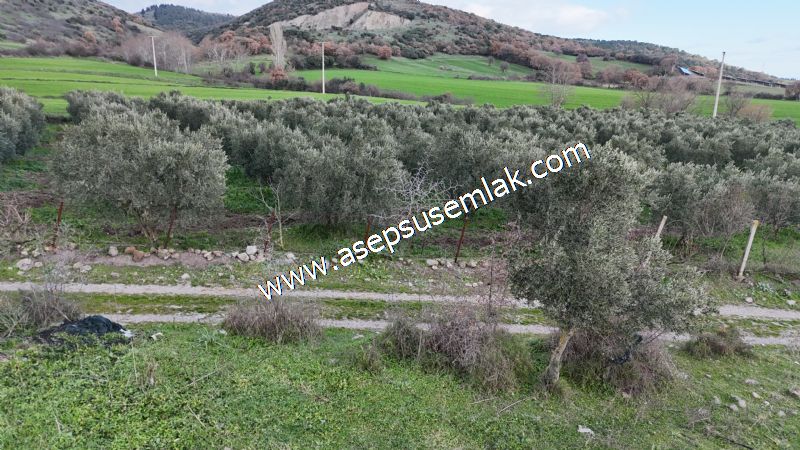 900 m² KONUT İMARLI ARSA PRESTİJLİ YAŞAM VE YÜKSEK YATIRIM DEĞER