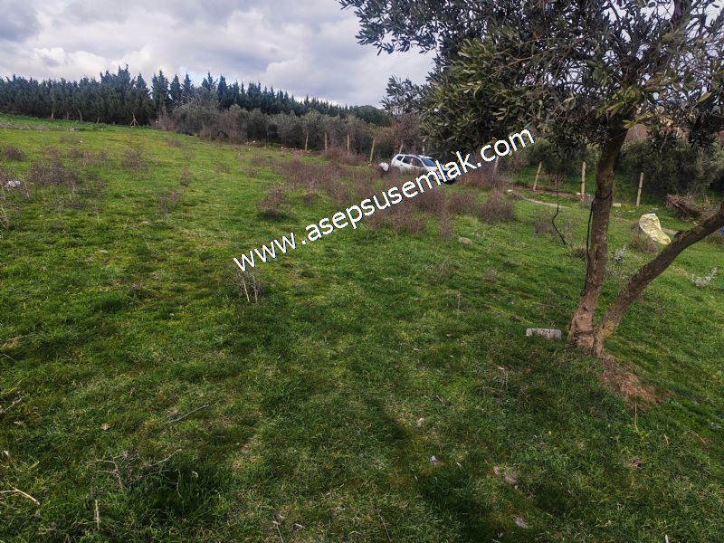 900 m² KONUT İMARLI ARSA PRESTİJLİ YAŞAM VE YÜKSEK YATIRIM DEĞER