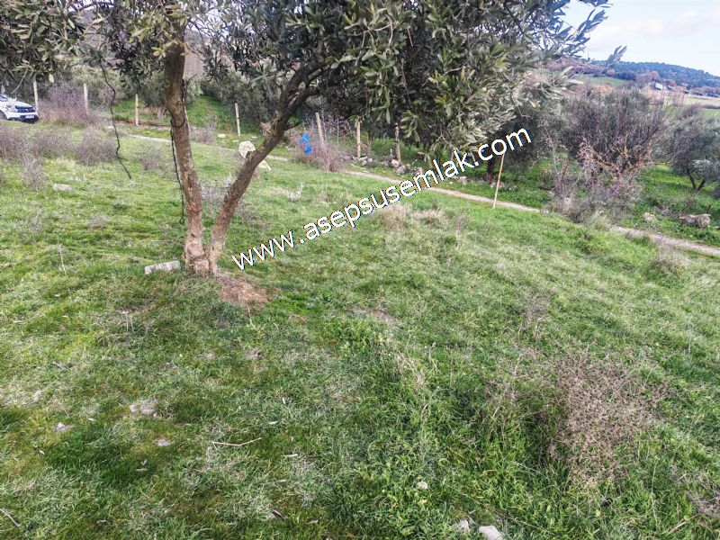 900 m² KONUT İMARLI ARSA PRESTİJLİ YAŞAM VE YÜKSEK YATIRIM DEĞER