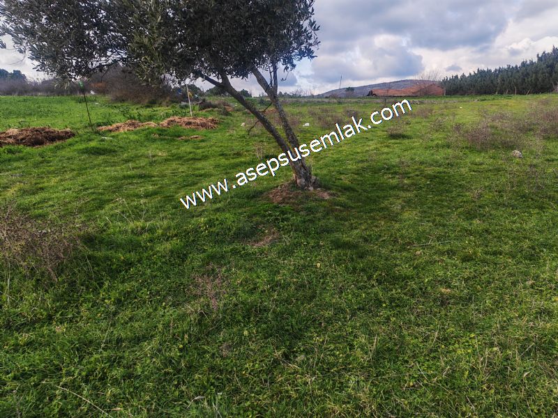 900 m² KONUT İMARLI ARSA PRESTİJLİ YAŞAM VE YÜKSEK YATIRIM DEĞER