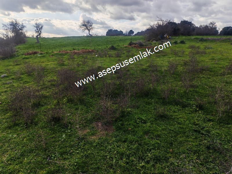 900 m² KONUT İMARLI ARSA PRESTİJLİ YAŞAM VE YÜKSEK YATIRIM DEĞER