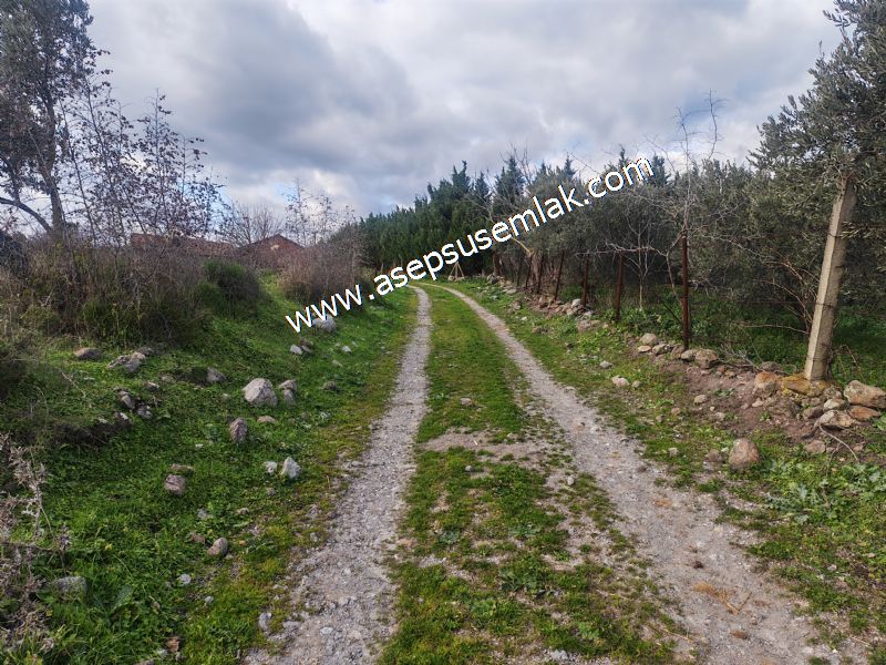 900 m² KONUT İMARLI ARSA PRESTİJLİ YAŞAM VE YÜKSEK YATIRIM DEĞER