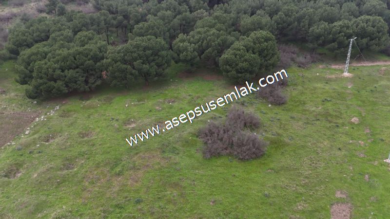 431 m² Mustakil Parsel Doğanın Kalbinde Geleceğin Yatırımı