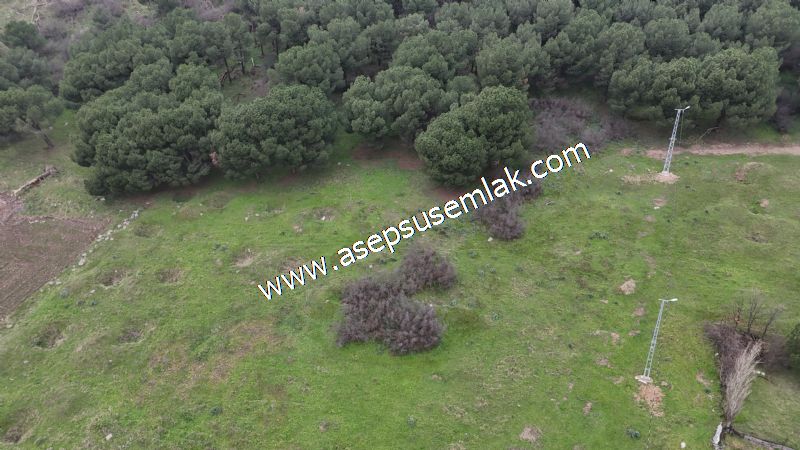 431 m² Mustakil Parsel Doğanın Kalbinde Geleceğin Yatırımı