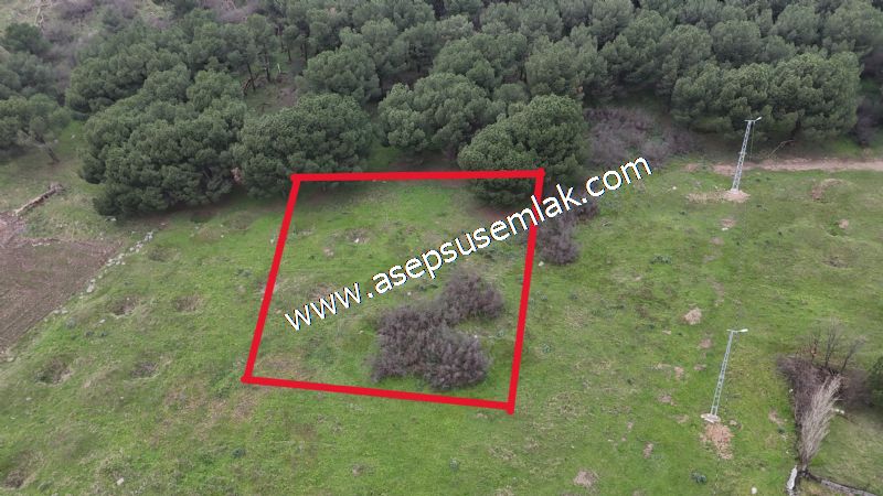 431 m² Mustakil Parsel Doğanın Kalbinde Geleceğin Yatırımı