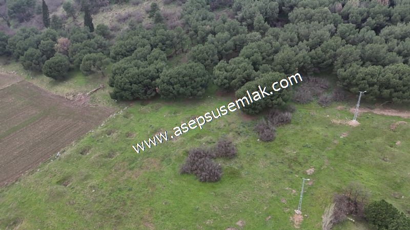 431 m² Mustakil Parsel Doğanın Kalbinde Geleceğin Yatırımı