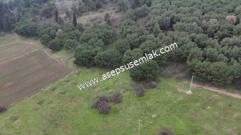431 m² Mustakil Parsel Doğanın Kalbinde Geleceğin Yatırımı