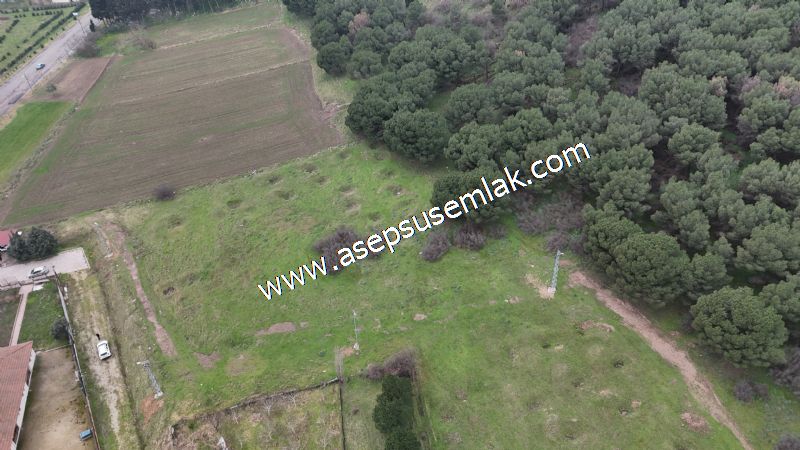 431 m² Mustakil Parsel Doğanın Kalbinde Geleceğin Yatırımı