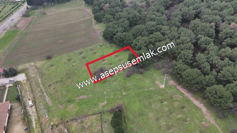 431 m² Mustakil Parsel Doğanın Kalbinde Geleceğin Yatırımı