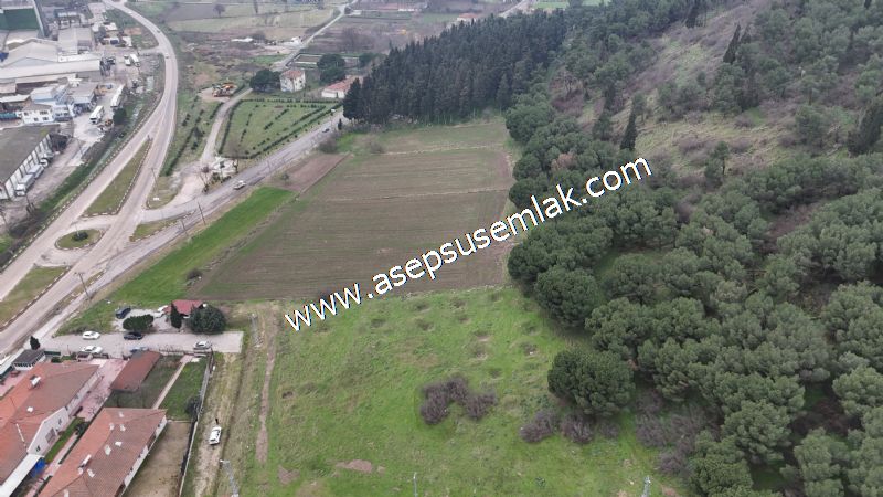 431 m² Mustakil Parsel Doğanın Kalbinde Geleceğin Yatırımı