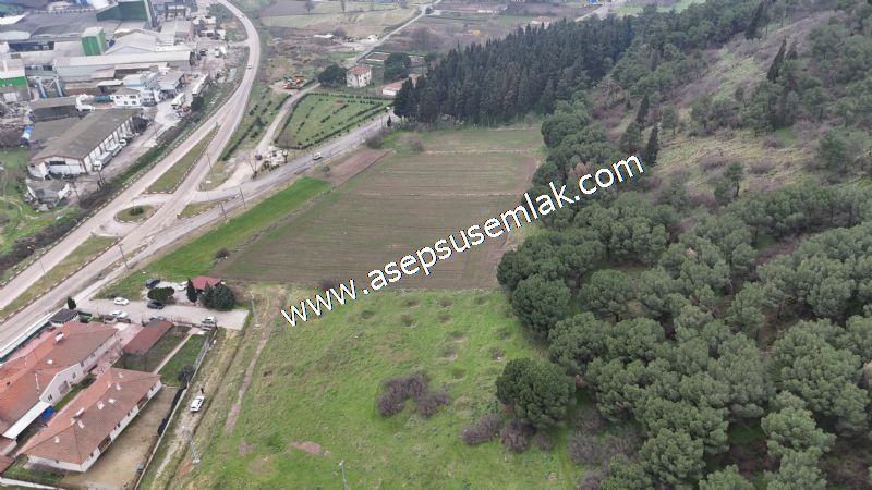 431 m² Mustakil Parsel Doğanın Kalbinde Geleceğin Yatırımı