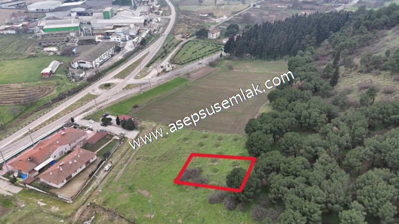 431 m² Mustakil Parsel Doğanın Kalbinde Geleceğin Yatırımı