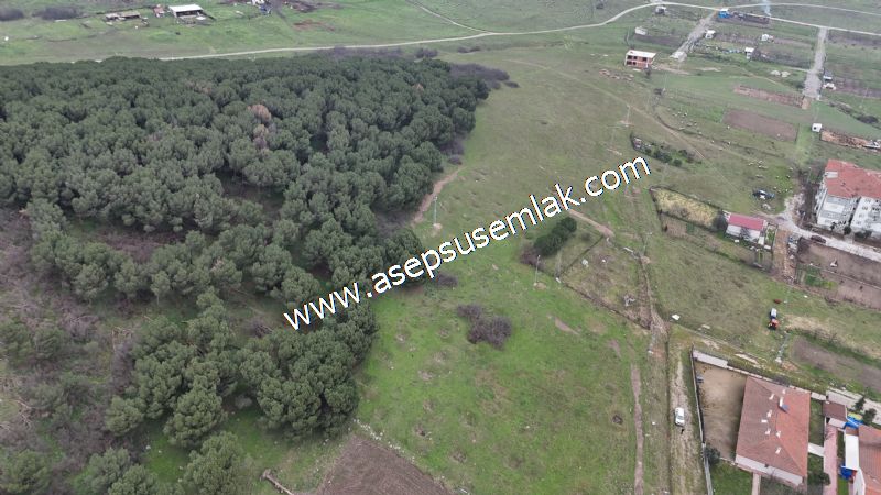 431 m² Mustakil Parsel Doğanın Kalbinde Geleceğin Yatırımı