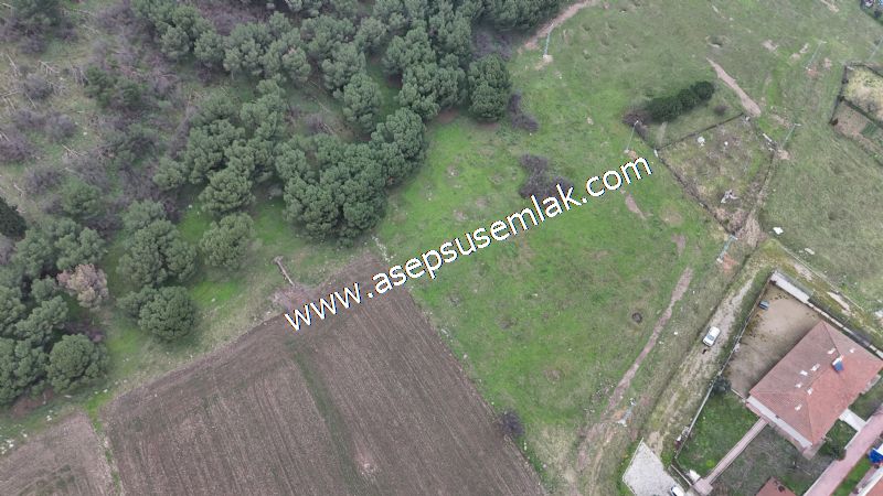 431 m² Mustakil Parsel Doğanın Kalbinde Geleceğin Yatırımı