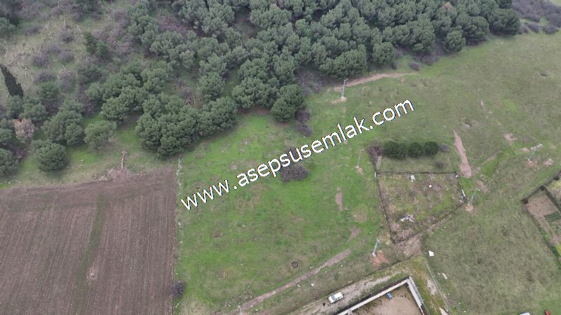 431 m² Mustakil Parsel Doğanın Kalbinde Geleceğin Yatırımı