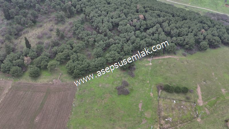 431 m² Mustakil Parsel Doğanın Kalbinde Geleceğin Yatırımı