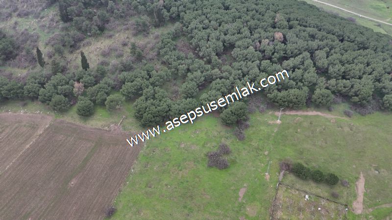 431 m² Mustakil Parsel Doğanın Kalbinde Geleceğin Yatırımı