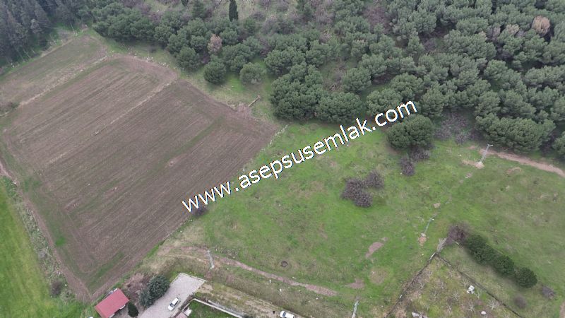 431 m² Mustakil Parsel Doğanın Kalbinde Geleceğin Yatırımı