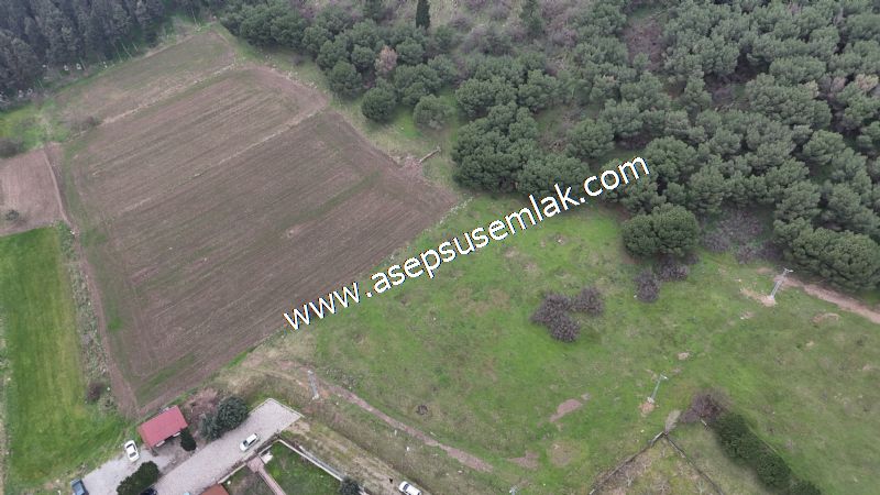 431 m² Mustakil Parsel Doğanın Kalbinde Geleceğin Yatırımı