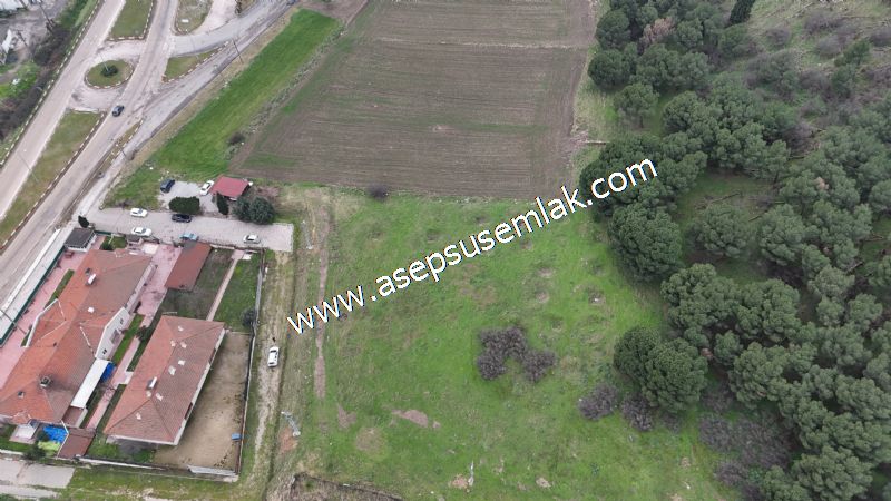 431 m² Mustakil Parsel Doğanın Kalbinde Geleceğin Yatırımı