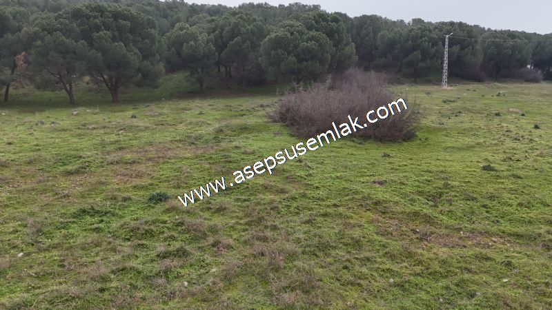 431 m² Mustakil Parsel Doğanın Kalbinde Geleceğin Yatırımı