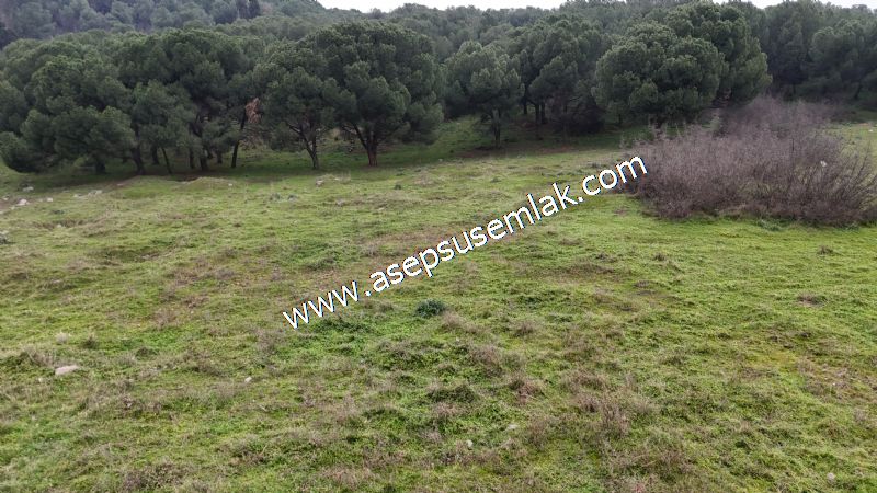 431 m² Mustakil Parsel Doğanın Kalbinde Geleceğin Yatırımı