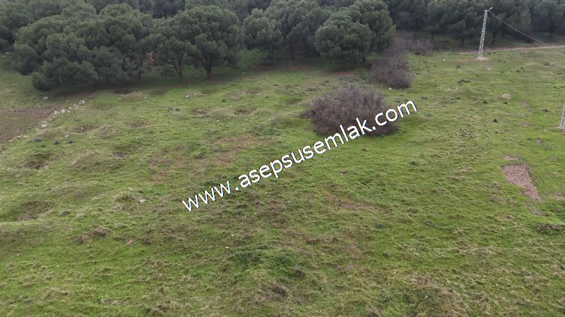 431 m² Mustakil Parsel Doğanın Kalbinde Geleceğin Yatırımı