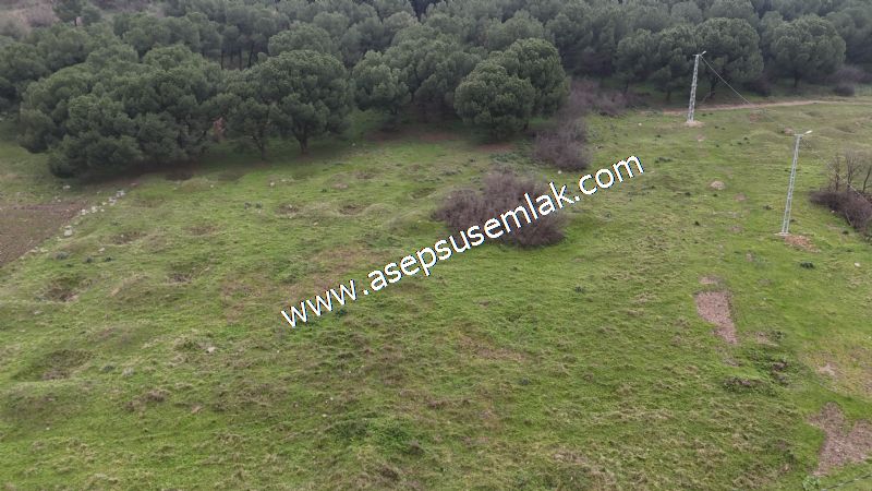 431 m² Mustakil Parsel Doğanın Kalbinde Geleceğin Yatırımı