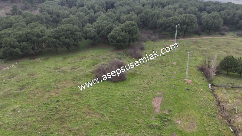 431 m² Mustakil Parsel Doğanın Kalbinde Geleceğin Yatırımı