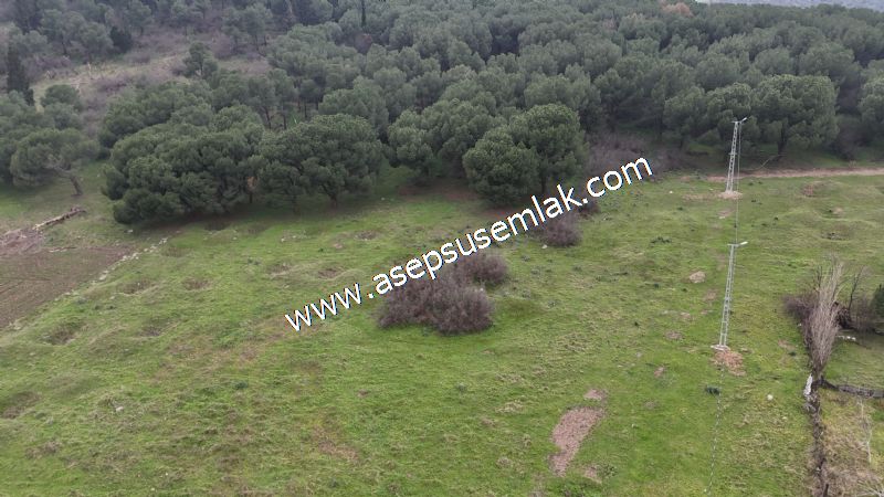 431 m² Mustakil Parsel Doğanın Kalbinde Geleceğin Yatırımı