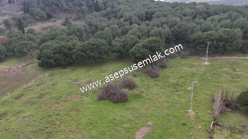 431 m² Mustakil Parsel Doğanın Kalbinde Geleceğin Yatırımı