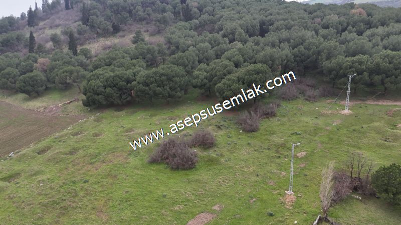 431 m² Mustakil Parsel Doğanın Kalbinde Geleceğin Yatırımı