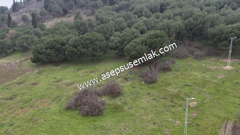 431 m² Mustakil Parsel Doğanın Kalbinde Geleceğin Yatırımı