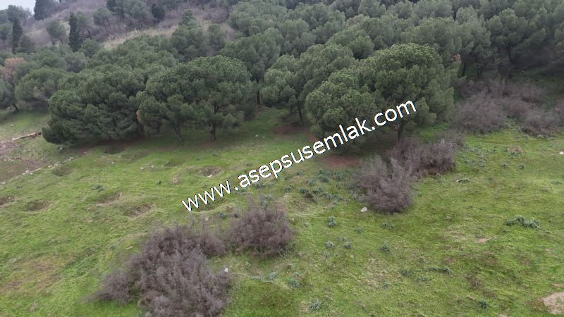 431 m² Mustakil Parsel Doğanın Kalbinde Geleceğin Yatırımı