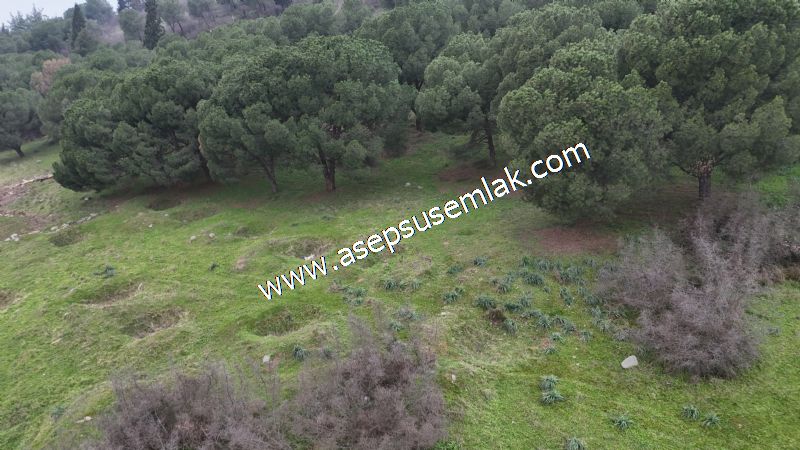 431 m² Mustakil Parsel Doğanın Kalbinde Geleceğin Yatırımı