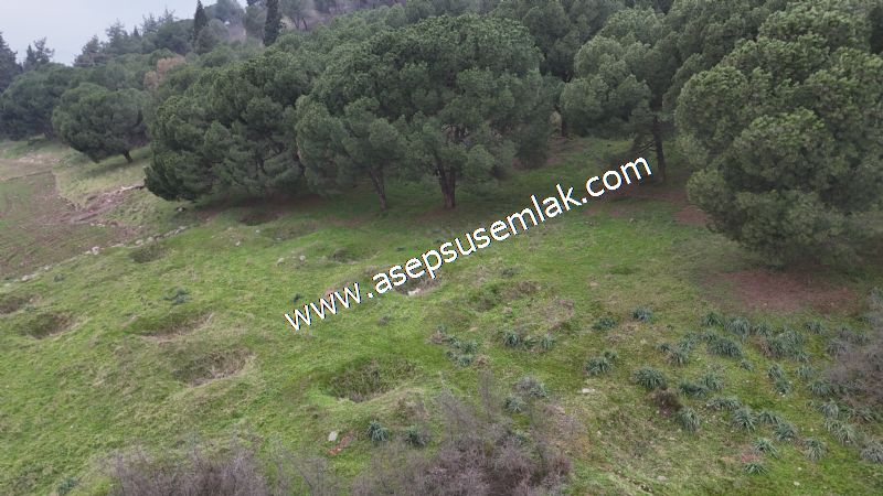 431 m² Mustakil Parsel Doğanın Kalbinde Geleceğin Yatırımı