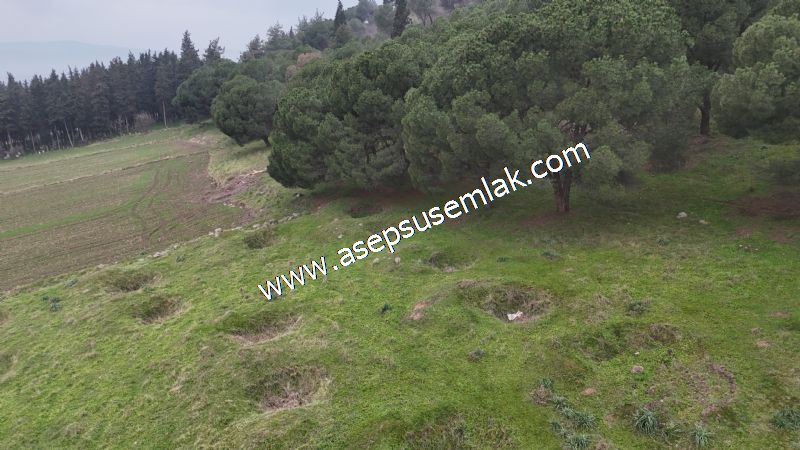 431 m² Mustakil Parsel Doğanın Kalbinde Geleceğin Yatırımı