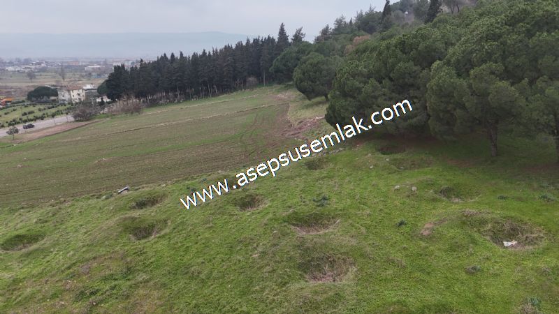 431 m² Mustakil Parsel Doğanın Kalbinde Geleceğin Yatırımı