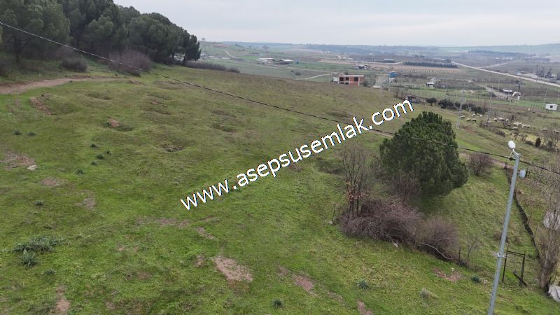 431 m² Mustakil Parsel Doğanın Kalbinde Geleceğin Yatırımı