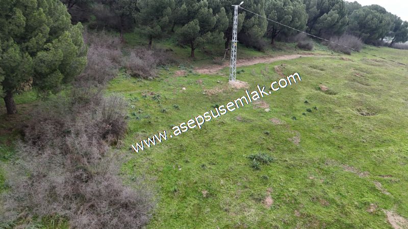 431 m² Mustakil Parsel Doğanın Kalbinde Geleceğin Yatırımı