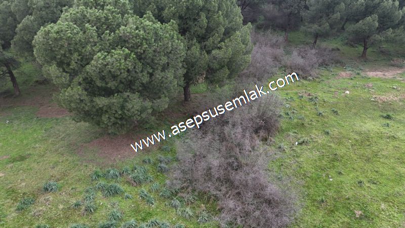 431 m² Mustakil Parsel Doğanın Kalbinde Geleceğin Yatırımı