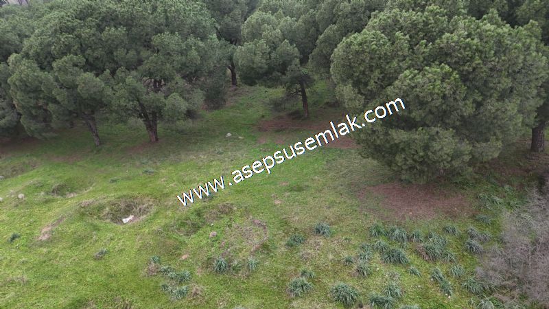 431 m² Mustakil Parsel Doğanın Kalbinde Geleceğin Yatırımı