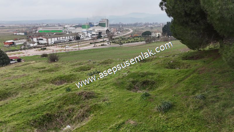 431 m² Mustakil Parsel Doğanın Kalbinde Geleceğin Yatırımı