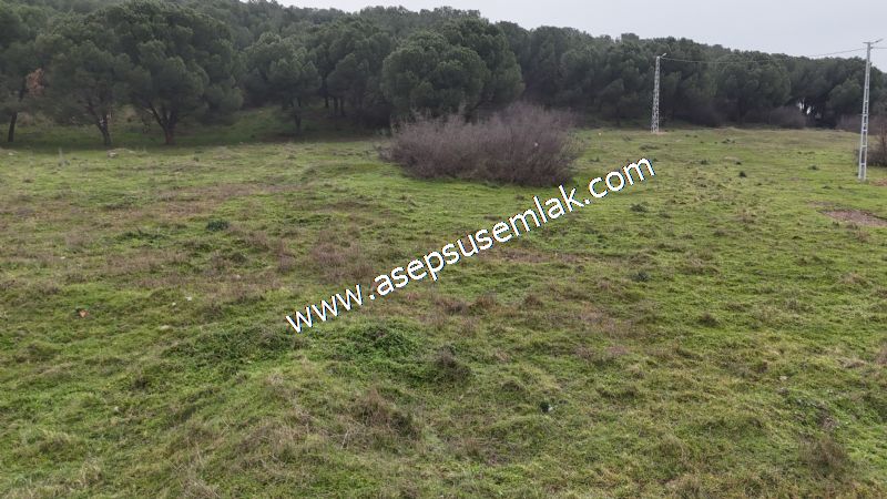 431 m² Mustakil Parsel Doğanın Kalbinde Geleceğin Yatırımı