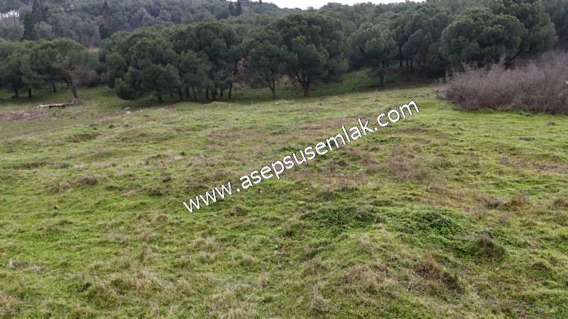 431 m² Mustakil Parsel Doğanın Kalbinde Geleceğin Yatırımı