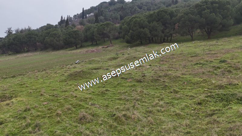 431 m² Mustakil Parsel Doğanın Kalbinde Geleceğin Yatırımı