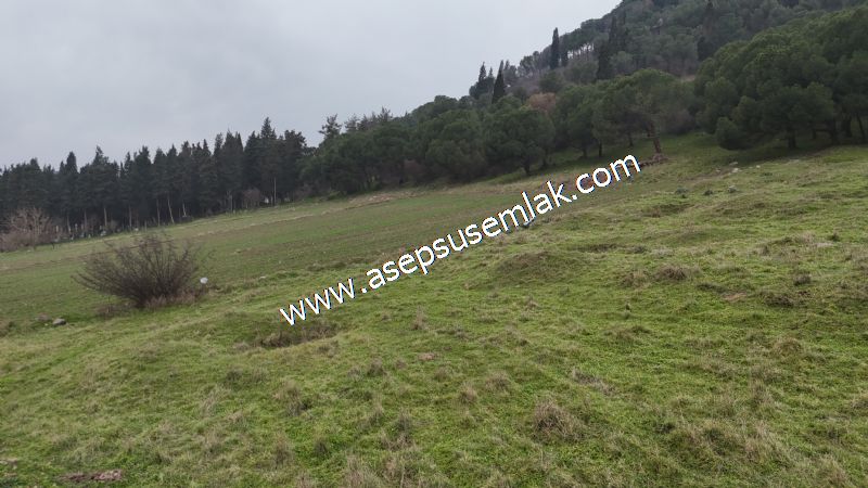 431 m² Mustakil Parsel Doğanın Kalbinde Geleceğin Yatırımı